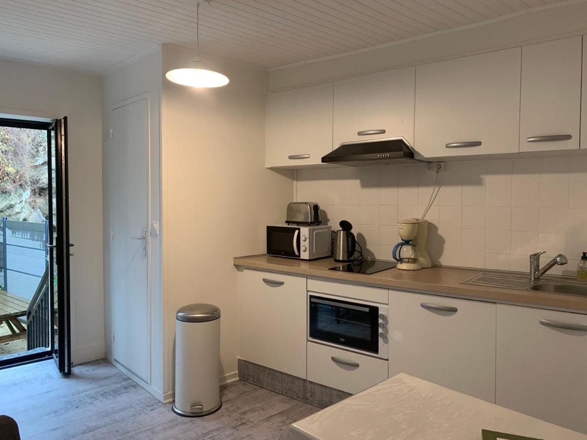 Appartement 4 Personnes, 1 Chambre, Terrasse, Wifi, Proche Du Centre Ла Бурбул Екстериор снимка